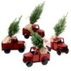 Tropi Co 12-in Pickup Decor And Live Mini Christmas Tree - Set Of 4 1 Tropi Co 12-in Pickup Decor And Live Mini Christmas Tree - Set Of 4 -Northlight Paradise 331065423 MainImage 001 l