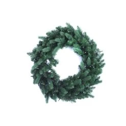 TWINKLY RGB+W 24-in Pre-Lit Indoor Electrical Outlet Green Artificial Christmas Wreath With 50 Multicolour And Warm White LED -Northlight Paradise 331066638 MainImage 001 l