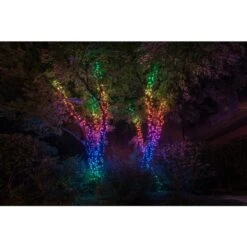 Twinkly Special Edition 400-count 105-ft Multi-function Colour Changing LED Indoor/outdoor Christmas String Lights -Northlight Paradise 331067408 AlternateImage4 l