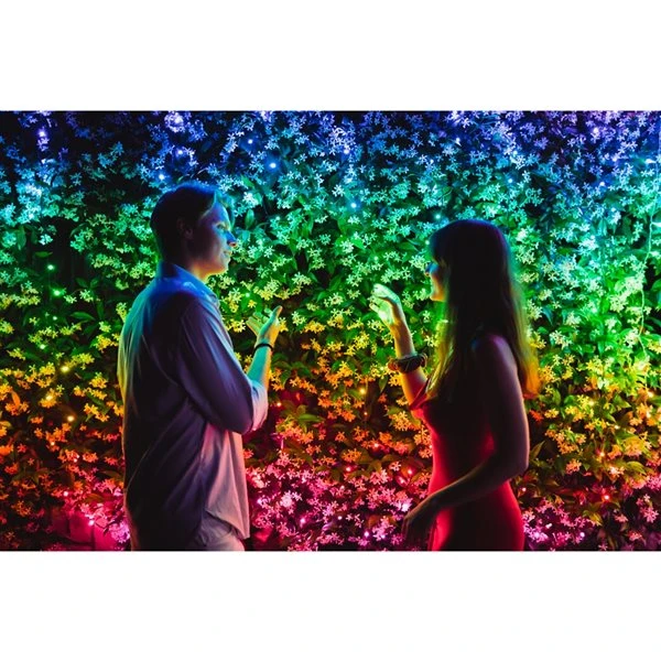 Twinkly 600-count 157.5-ft Multi-function Colour Changing LED Indoor/outdoor Christmas String Lights 7 Twinkly 600-count 157.5-ft Multi-function Colour Changing LED Indoor/outdoor Christmas String Lights - Image 5