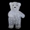 Northlight 16.5-in Polar Bear Christmas Decoration With Lights -Northlight Paradise 332017756 AlternateImage2 l