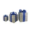Northlight Set Of 3 10-in Silver And Blue Gift Boxes Christmas Decoration With Lights 2 Northlight Set Of 3 10-in Silver And Blue Gift Boxes Christmas Decoration With Lights -Northlight Paradise 332017775 AlternateImage1 l