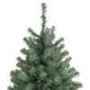 Northlight 7.5-ft Colorado Blue Spruce Unlit Artificial Christmas Tree 2 Northlight 7.5-ft Colorado Blue Spruce Unlit Artificial Christmas Tree -Northlight Paradise 332019059 AlternateImage3 l