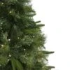 Northlight 6.5-ft Pre-Lit Full Ashcroft Cashmere Pine Artificial Christmas Tree - Warm Clear LED Lights 1 Northlight 6.5-ft Pre-Lit Full Ashcroft Cashmere Pine Artificial Christmas Tree - Warm Clear LED Lights -Northlight Paradise 332019060 AlternateImage3 l