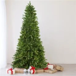 Northlight 14-ft Pre-Lit Eastern Pine Slim Artificial Christmas Tree - Clear Lights -Northlight Paradise 332019067 AlternateImage1 l