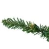 Northlight 14-ft Pre-Lit Eastern Pine Slim Artificial Christmas Tree - Clear Lights -Northlight Paradise 332019067 AlternateImage2 l