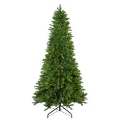 Northlight 14-ft Pre-Lit Eastern Pine Slim Artificial Christmas Tree - Clear Lights -Northlight Paradise 332019067 MainImage 001 l