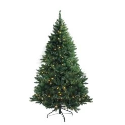 Northlight 12-ft Pre-Lit Buffalo Fir Full Artificial Christmas Tree - Warm White LED Lights