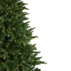 Northlight 7.5-ft Pre-Lit Full Riverton Fir Artificial Christmas Tree - Warm White LED Lights 9 Northlight 7.5-ft Pre-Lit Full Riverton Fir Artificial Christmas Tree - Warm White LED Lights -Northlight Paradise 332019079 AlternateImage3 l