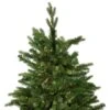 Northlight 7.5-ft Pre-Lit Full Riverton Fir Artificial Christmas Tree - Warm White LED Lights -Northlight Paradise 332019079 AlternateImage4 l