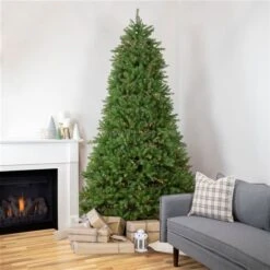 Northlight 9-ft Pre-Lit Rockwood Pine Artificial Christmas Tree - Multicolour Lights -Northlight Paradise 332019088 AlternateImage1 l