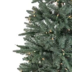 Northlight 12-ft Pre-Lit Slim Washington Fraser Fir Artificial Christmas Tree - Clear Lights 11 Northlight 12-ft Pre-Lit Slim Washington Fraser Fir Artificial Christmas Tree - Clear Lights -Northlight Paradise 332019093 AlternateImage2 l