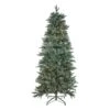Northlight 12-ft Pre-Lit Slim Washington Fraser Fir Artificial Christmas Tree - Clear Lights 2 Northlight 12-ft Pre-Lit Slim Washington Fraser Fir Artificial Christmas Tree - Clear Lights -Northlight Paradise 332019093 MainImage 001 l