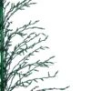 Northlight 6-ft Pre-Lit Green Cascade Twig Tree Christmas With Green Incandescent Ligths -Northlight Paradise 332019097 AlternateImage1 l