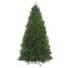 Northlight 10-ft Pre-lit Leg Base Full Rightside-up Green Artificial Christmas Tree With Multicolour Incandescent Lights 1 Northlight 10-ft Pre-lit Leg Base Full Rightside-up Green Artificial Christmas Tree With Multicolour Incandescent Lights -Northlight Paradise 332019157 MainImage 001 l