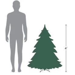 Northlight 4-ft Pre-lit Leg Base Canadian Pine Full Rightside-up Artificial Christmas Tree With White Clear Incandescent Lights -Northlight Paradise 332019158 AlternateImage3 l