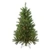 Northlight 4-ft Pre-lit Leg Base Canadian Pine Full Rightside-up Artificial Christmas Tree With White Clear Incandescent Lights -Northlight Paradise 332019158 MainImage 001 l