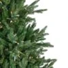 Northlight 7-ft Pre-lit Leg Base Full Rightside-up Green Artificial Christmas Tree With White Clear Incandescent Lights -Northlight Paradise 332019167 AlternateImage3 l
