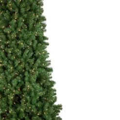 Northlight 15-ft Pre-lit Leg Base Spruce Slim Rightside-up Green Artificial Christmas Tree With White Clear Incandescent Lights -Northlight Paradise 332019173 AlternateImage2 l