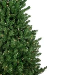 Northlight 15-ft Pre-lit Leg Base Slim Rightside-up Green Artificial Christmas Tree With White Clear Incandescent Lights -Northlight Paradise 332019177 AlternateImage2 l