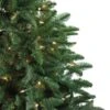 Northlight 4.5-ft Pre-lit Potted Norway Spruce Slim Rightside-up Artificial Christmas Tree With White Clear Incandescent Lights -Northlight Paradise 332019178 AlternateImage2 l
