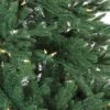 Northlight 6.5-ft Pre-lit Leg Base Balsam Fir Full Rightside-up Green Artificial Christmas Tree With White Clear LED Lights 1 Northlight 6.5-ft Pre-lit Leg Base Balsam Fir Full Rightside-up Green Artificial Christmas Tree With White Clear LED Lights -Northlight Paradise 332019192 AlternateImage1 l