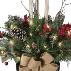 Holiday Living 50-in Pre-Lit Potted Christmas Plant With 25 LED Lights -Northlight Paradise 43445229c L