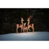 Holiday Living Christmas Deer Family 34-in, 52-in And 64-in 2 Holiday Living Christmas Deer Family 34-in, 52-in And 64-in -Northlight Paradise 44285068b L