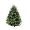 Green Plus Nurseries Balsam Christmas Tree 3-4-ft With Stand 1 Green Plus Nurseries Balsam Christmas Tree 3-4-ft With Stand -Northlight Paradise 48745332 L