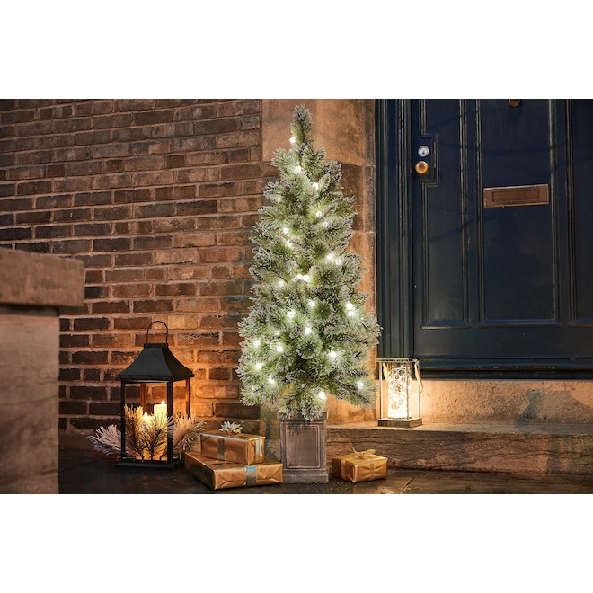 Holiday Living 4.5-ft Pre-Lit Artificial Potted Christmas Tree With 60 Warm White LED Lights 4 Holiday Living 4.5-ft Pre-Lit Artificial Potted Christmas Tree With 60 Warm White LED Lights - Image 2