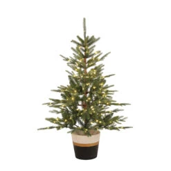 Holiday Living 4-ft Pre-Lit Potted Christmas Tree With 180 Warm White LED Lights -Northlight Paradise 50175150 L