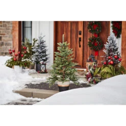 Holiday Living 4-ft Pre-Lit Potted Christmas Tree With 180 Warm White LED Lights -Northlight Paradise 50175150b L