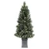 Holiday Living Christmas Tree Illuminated 242 Glittered LED 4.5-ft -Northlight Paradise 50175157 L