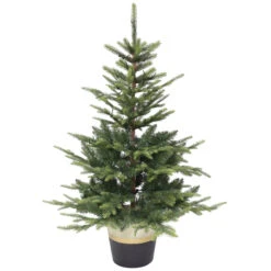Holiday Living Christmas Tree Illuminated Potted LED 4-pi -Northlight Paradise 50175158 L