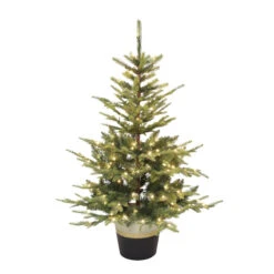 Holiday Living Christmas Tree Illuminated Potted LED 4-pi -Northlight Paradise 50175158b L