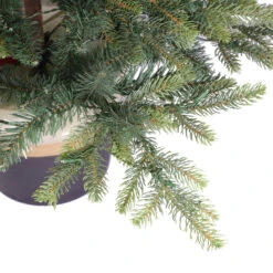 Holiday Living Christmas Tree Illuminated Potted LED 4-pi