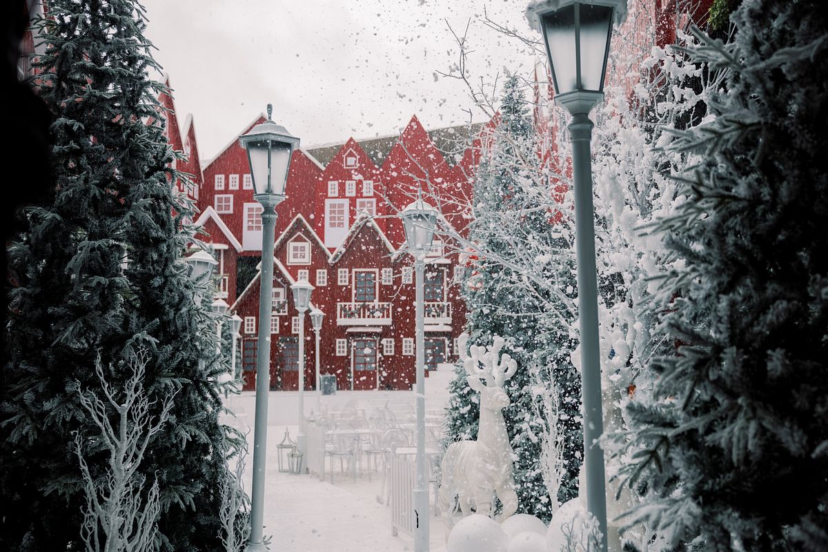 Northlight Paradise -Northlight Paradise g1b